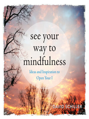 cover image of See Your Way to Mindfulness